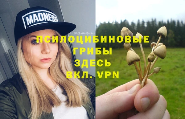 героин Белокуриха