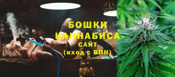 индика Белоозёрский