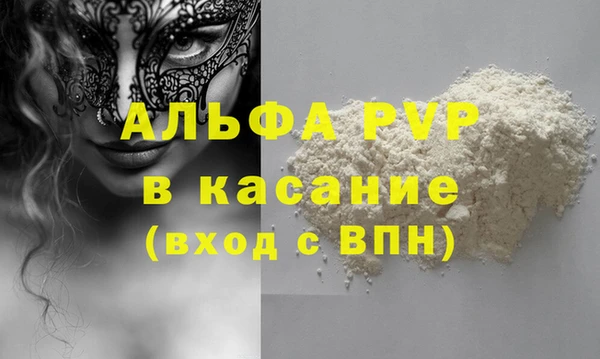индика Белоозёрский
