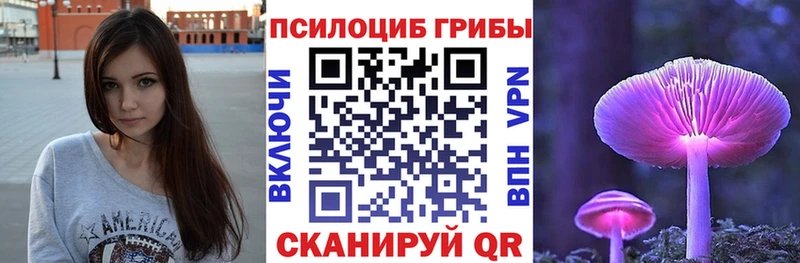Псилоцибиновые грибы Cubensis  хочу   Козельск 